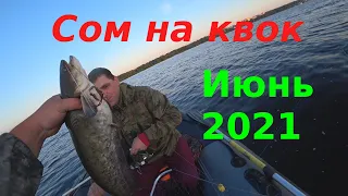 Сом на квок / Волга / Июнь 2021