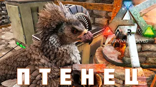 🦕 ARK: SURVIVAL EVOLVED ПТЕНЕЦ #22