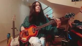 Red Hot Chili Peppers - Poster Child (Bass Improv Cover) | McCartney as a Flea