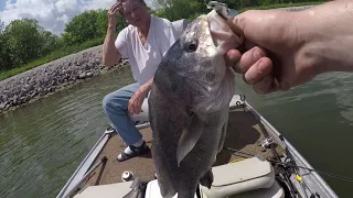 Big Bass Catfish and Drum Fishing!