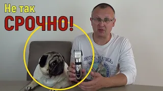 Пёс Кокос ВОЗВРАЩАЕТСЯ !!! Жизнь с МОПСОМ.