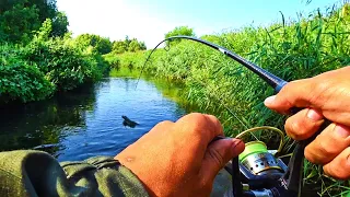 БЫЛ ШОКИРОВАН КАКИЕ ЗДЕСЬ ВОДЯТСЯ МОНСТРЫ... ДУРЕЙЩИЙ КЛЁВ РЫБЫ! Рыбалка на спиннинг 2023.