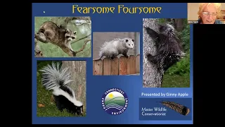 Fearsome Foursome: Raccoon, Opossum, Skunk & Porcupine