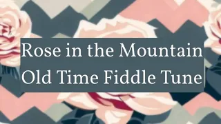 Rose in the mountain - Old Time Fiddle