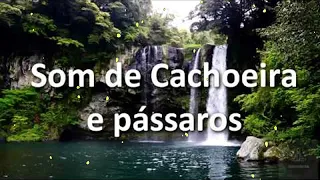 Som de Cachoeira e Pássaros -  Para Relaxar, Dormir e Tranquilizar 🍃🍂🌾