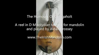 The Humours Of Carrigaholt - a reel in D Mixolydian tabbed for mandolin and played by Aidan Crossey