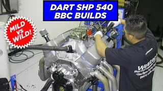 540 BBC STROKER BUILDS-DO YOU NEED MILD or WILD?