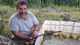 Ahora si que traen agua los manantiales😉👍