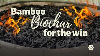 Success with Bamboo Biochar