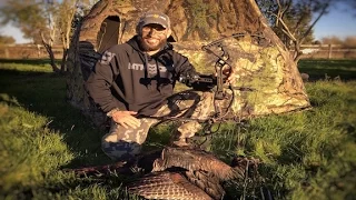 Chad Mendes' Gets First Kill with New Hoyt Carbon Defiant!!!