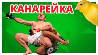 АДСКАЯ БОЛЬ!!! Болевой прием КАНАРЕЙКА