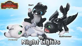 The Night Lights - New Hybrid Dragon | School of Dragons