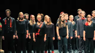 Wilhelm Stenhammar: I Seraillets Have - Schweizer Jugendchor 2015