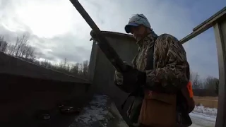 European Hunt at Rooster Ranch/GOPRO HERO 7 BLACK