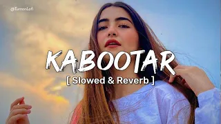 Udd Jaiye Re Kabootar ( Slowed & Reverb ) Renuka Panwar | Pranjal Dahiya | Haryanvi Songs Lofi