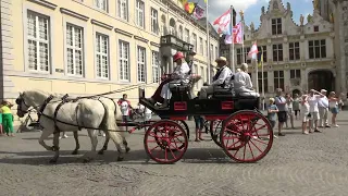 Koetsenparade - Brugge 15 augustus 2022