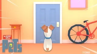 Roblox The Secret Life of Pets Obby!