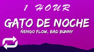 Ñengo Flow, Bad Bunny - Gato de Noche (Letra/Lyrics) | 1 HOUR