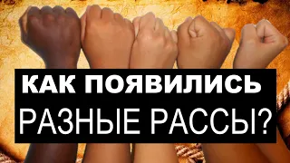 Как появились разные расы?