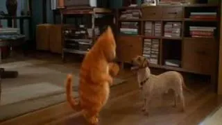 garfield-pumpit.wmv