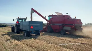 DRONNINGBORG 7200 (Harvest 2020)