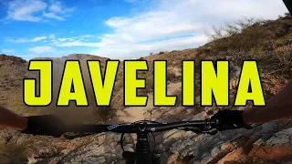 "Javelina Trail" Full Pull Downhill MTB South Mountain