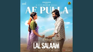 Ae Pulla (From "Lal Salaam")