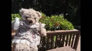 AP Biology Parody of "Teddy Has an Operation"