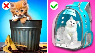 PAPÁ VS PADRASTRO - ¡Construimos Una Casita Para Gatitos! Hacks Geniales Y Situaciones Divertidas