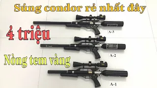 3 cây Condor mini giá rẻ - Săn chim 50-70m - nòng lotha tem vàng