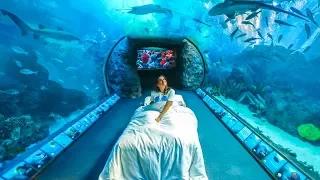 If I Lived in an Aquarium | CloeCouture