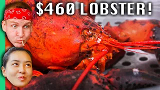 $6 Lobster VS $460 Lobster in Vietnam!!! (Biggest Lobster in Vietnam!)