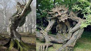 Fantastical Living Garden Sculptures █▬█ █ ▀█▀