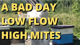 A BAD DAY! Low flow, high mites