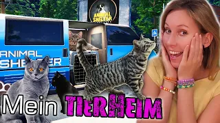Mein eigenes TIERHEIM 🐈‍ Tierheim Simulator 🐩 Animal Shelter Simulator deutsch 🏠 Folge 01