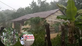 CAMPOS DE ALTAMIRA SE PIERDEN LAS FRUTAS, LA VIDA DEL CAMPO