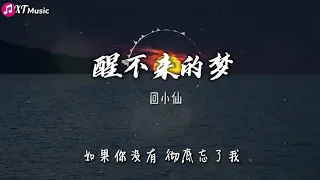 【回小仙 - 醒不来的梦】♫『你是我触碰不到的风 醒不来的梦 寻不到的天堂 医不好的痛』【动态歌词Lyrics】