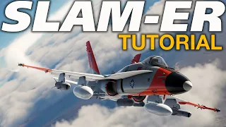 DCS F/A-18C Hornet AGM-84H SLAM-ER Tutorial!