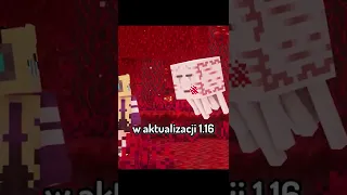 Pomysły, które mogą być w Minecraft GNIAZDA GHASTÓW #shorts