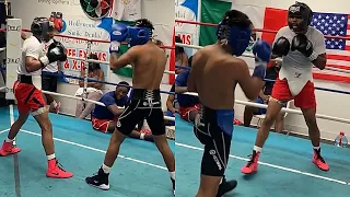 Shakur Stevenson SPARRING MEXICAN STYLE with son of Legend Fernando Vargas (Amado Vargas) WAR