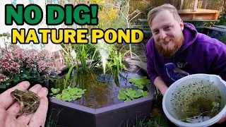 Easiest wildlife pool build! FROGS, BIRDS, BUGS and MORE turned up.