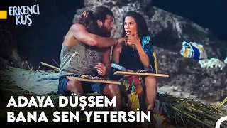 Erkenci Kuş Survivor Versiyon 🏝