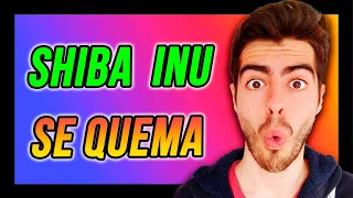 ⛔ IMPORTANTE ⛔ SHIBA INU COMIENZA A QUEMARSE ❗❗ | Últimas Noticias SHIB | Criptomonedas Broker Etoro