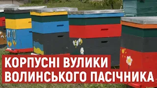 Волинський пасічник у п'ятому поколінні розводить бджіл та навчає бджільництва дітей