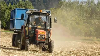 Siláže 2022/Silage 2022 || Krone Big X600, Zetor, JCB, New Holland