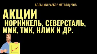 Акции металлургов Норникель GMKN, Северсталь CHMF, ММК MAGN, НЛМК NLMK и др.