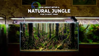 NATURAL JUNGLE STYLE AQUASCAPE FOR CLIENT BY STEP BY STEP | AQUASCAPE TUTORIAL