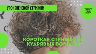 Пошаговый видео урок!  Короткой женской стрижки на вьющиеся волосы.