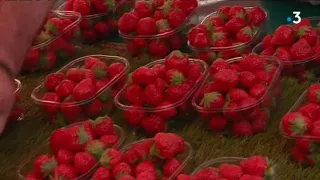Alain, vendeur de fraises au marché de La Rochelle