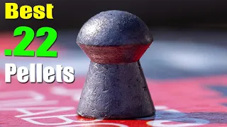 Top 7 Best  22 Pellets For Hunting 2022